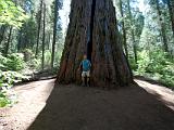 Calaveras Big Tree SP 06 : Vermont Canoe Spring